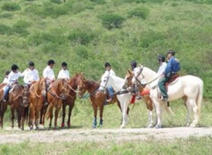 Pousada Fazenda Santa Fe بيزيروس المظهر الخارجي الصورة