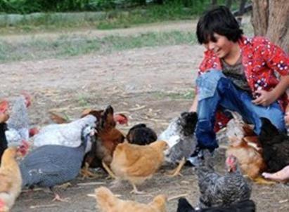 Pousada Fazenda Santa Fe بيزيروس المظهر الخارجي الصورة